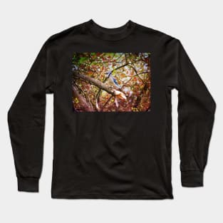 Blue Jay Long Sleeve T-Shirt